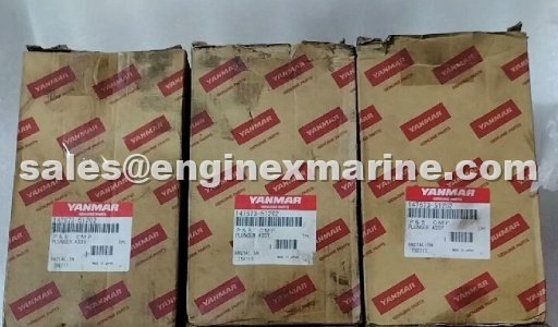 YANMAR - N21 - SPARES - PLUNGER BARREL - 147673-51202