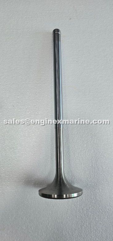 YANMAR - N21 - SUCTION VALVE (INLET VALVE) - 141613-11100